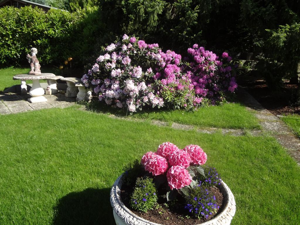 Gaestehaus Am Ahornweg Bernkastel-Kues Bilik gambar